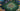 tapin_upload_6_1749161568731
