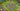 tapin_upload_0_1749161568493
