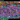 Screenshot_21