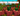 resim_2025-09-02_043140991