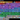Screenshot_12