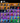 Screenshot_12
