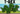 2025-07-11 20_56_07-Roblox - Grow a Garden - Card