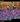 Screenshot_1