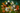 009782e0-b728-4961-ac7c-3d7f7ea31acf_Offer_20250811132822_2575634Original