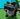 raccon