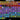 IC5e4IoBmq