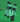 raccoonn2