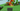 Screenshot_13