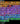 tapin_upload_1_1748915787594