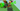 Screenshot_1