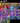 Screenshot_36