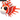 image_2025-03-15_175526442