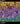 5316972966610857503 (1)