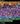 tapin_upload_0_1747430442309
