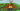 Screenshot_5