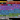 Screenshot 2025-07-10 175720