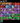Screenshot_1
