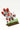 WhatsApp Image 2025-07-23 at 16.11.42_2fea87e9