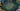 tapin_upload_9_1748788331470