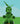 green been