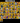 dsz3jBz34L