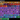 Screenshot_5
