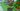 Screenshot_10