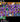 Screenshot_41