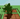 Screenshot 2025-09-02 023912