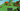 Screenshot_5