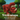 d4697125-aaa4-4939-90df-49b788e294a4