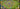1000011982