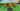 Screenshot_5