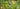1000129322