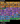 Screenshot_51