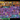 Screenshot_6