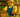 Best Crops to Farm in Grow a Garden (For Coins, XP & Events)