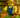 Best Crops to Farm in Grow a Garden (For Coins, XP & Events)