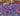 tapin_upload_0_1747430442569
