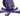 dsd