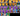 15FQie2NwO