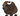 image_2025-03-15_202117052