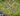 tapin_upload_0_1749161855989