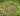 tapin_upload_0_1749161856257