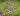 tapin_upload_0_1748788331474