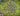 tapin_upload_0_1749161856145