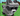 RACCOON