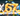 Gold cap 67 35.6M/s