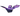 586mZmNesG